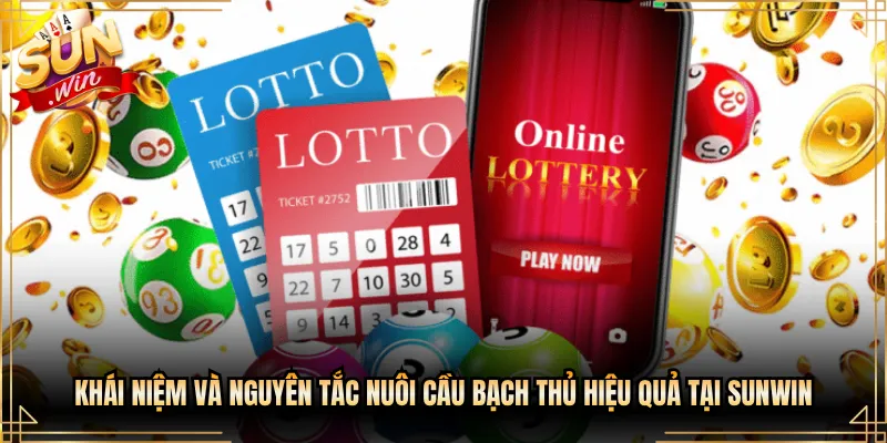 Khái Niệm Và Nguyên Tắc Nuôi Cầu Bạch Thủ Hiệu Quả Tại Sunwin